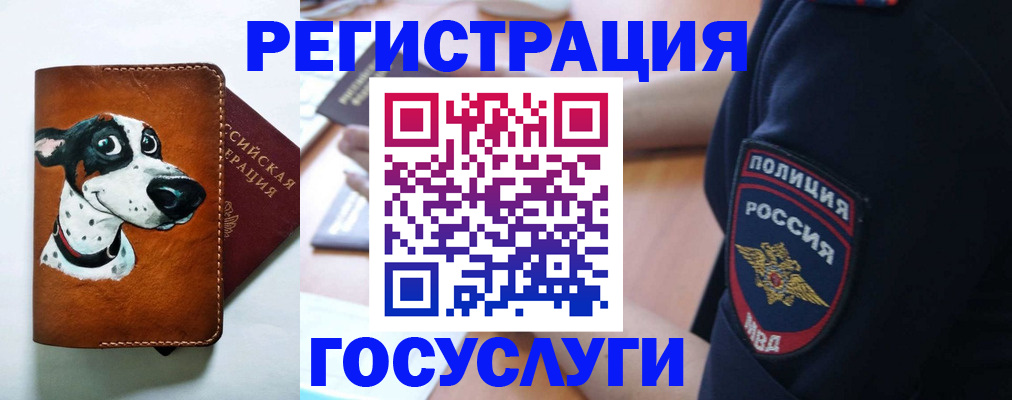 временная регистрация в квартире в Амурской области